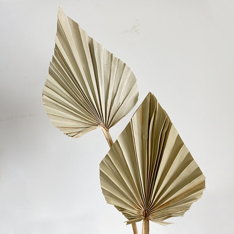 Heart-Shaped Guanyin Fan Decorative Leaves